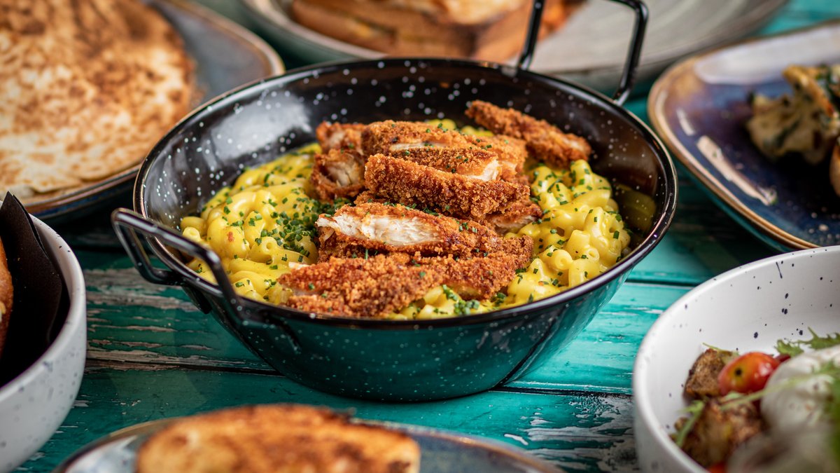 Image of The Flamingo Experience