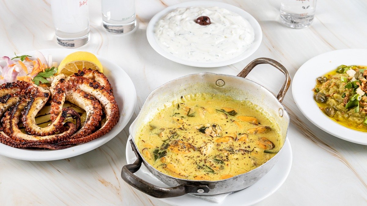 Image of Palia Salamina